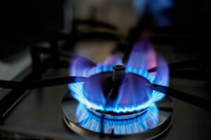Newhouse: ‘Government must keep its hands off our gas stoves’