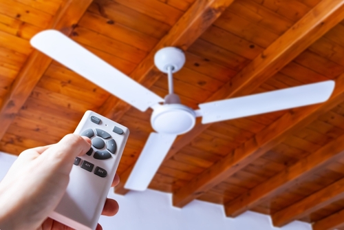 Protect Small Ceiling Fan Manufacturers